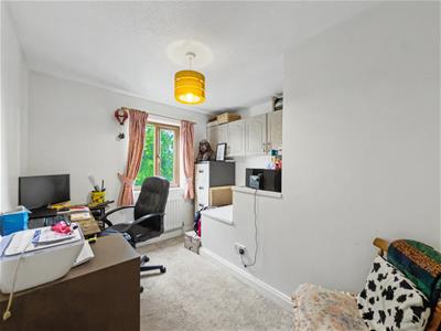 Picture 12